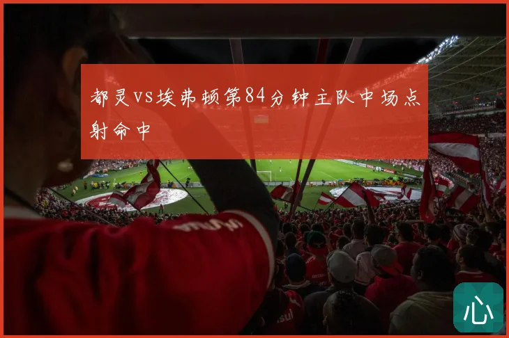 都灵vs埃弗顿第84分钟主队中场点射命中