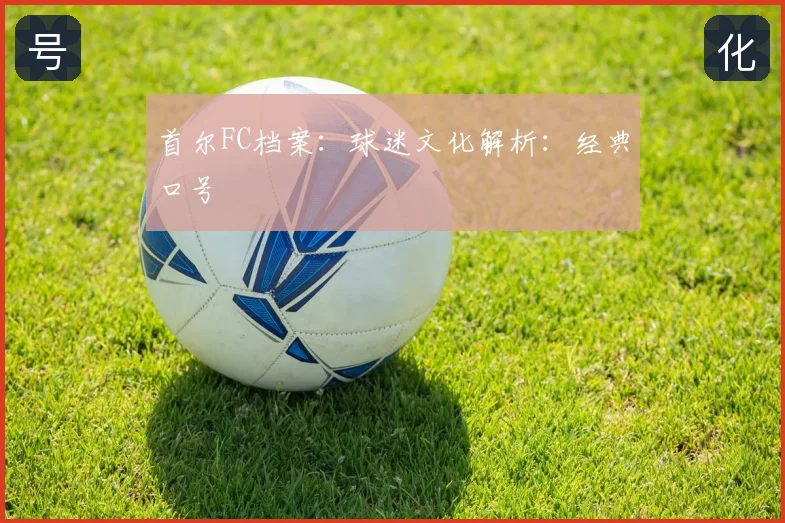 首尔FC档案:球迷文化解析:经典口号